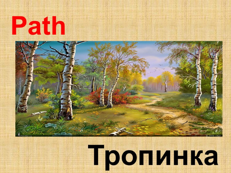 Path Тропинка